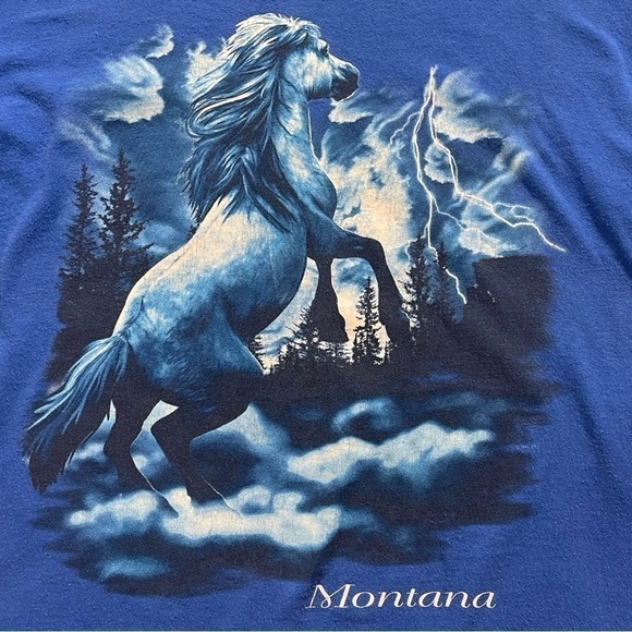 Blue single stitch Montana tourist horse nature lightning gorp vintage t shirt L - Picture 2 of 5
